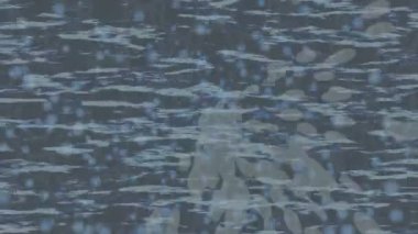 Lüks hareket projeleri için soyut tasarım stili animasyonu olan üst düzey dijital doku