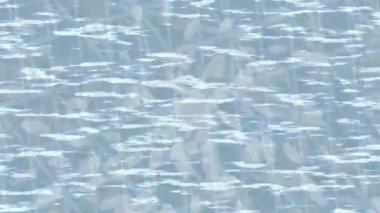 Estetik doku arkaplan tasarımı renkli hareket grafikleri ile moda film giriş profosyoneli