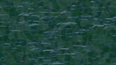 Dijital doku yüzey tasarım biçimi ile modern video animasyonu için gelişmiş hareket grafikleri