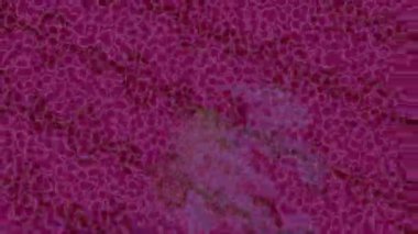 Organik desenli yüzey giriş stili video film sanatı ile soyut arkaplan tasarımı