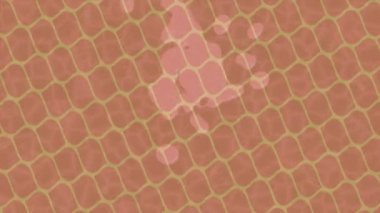 Yaratıcı video düzenleme film arkaplan tasarımı için minimalist organik hareket grafikleri