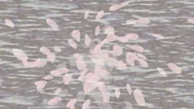 Soyut hareket desenli fütüristik video üretimi için dinamik dijital arkaplan