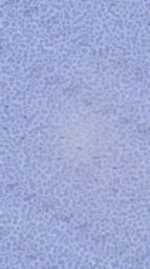 Organik desenli yüzey giriş stili video film sanatı ile soyut arkaplan tasarımı