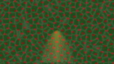 Benzersiz video giriş tasarımı projeleri için detaylı yüzey kalıbı film animasyon stili grafik girişi