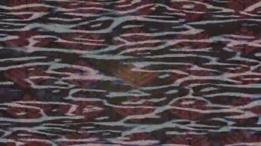 Estetik doku arkaplan tasarımı renkli hareket grafikleri ile moda film giriş profosyoneli