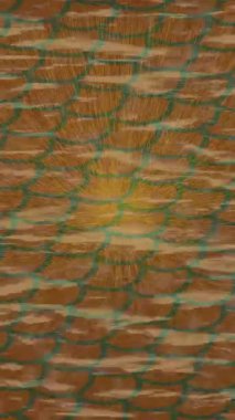 Benzersiz dijital hareket grafiklerine sahip yaratıcı sinematik projeler için yumuşak animasyon yüzeyi