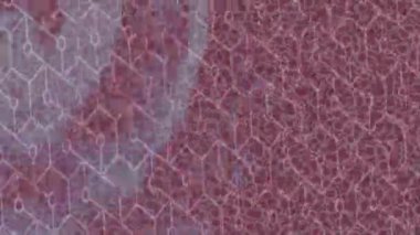 Estetik doku arkaplan tasarımı renkli hareket grafikleri ile moda film giriş profosyoneli