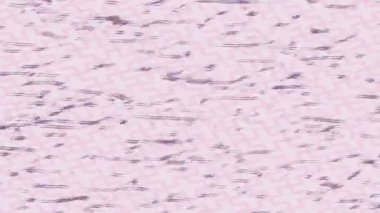 Benzersiz hareket grafikleri tasarım sanatına sahip yaratıcı film üretimi için özet bir arkaplan