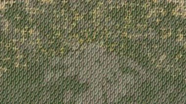 Estetik doku arkaplan tasarımı renkli hareket grafikleri ile moda film giriş profosyoneli