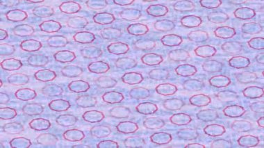 Lüks hareket projeleri için soyut tasarım stili animasyonu olan üst düzey dijital doku