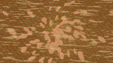 Dijital doku yüzey tasarım biçimi ile modern video animasyonu için gelişmiş hareket grafikleri