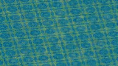 Benzersiz dijital hareket grafiklerine sahip yaratıcı sinematik projeler için yumuşak animasyon yüzeyi