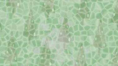 Benzersiz dijital hareket grafiklerine sahip yaratıcı sinematik projeler için yumuşak animasyon yüzeyi