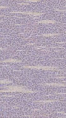 Dijital doku yüzey tasarım biçimi ile modern video animasyonu için gelişmiş hareket grafikleri