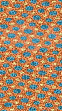 Profesyonel video projeleri sanat tarzı için organik hareketli arkaplan tasarımı