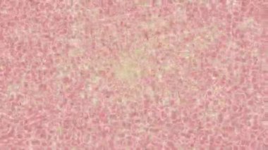 Soyut hareket desenli fütüristik video üretimi için dinamik dijital arkaplan