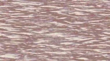 Benzersiz dijital hareket grafiklerine sahip yaratıcı sinematik projeler için yumuşak animasyon yüzeyi