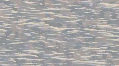 Organik desenli yüzey giriş stili video film sanatı ile soyut arkaplan tasarımı