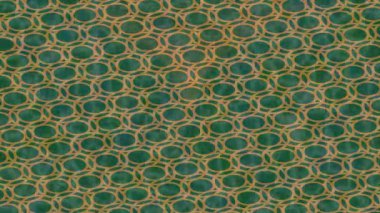 Benzersiz dijital animasyon tarzı grafikleri olan yaratıcı ortam tasarımı için yenilikçi hareket dokusu