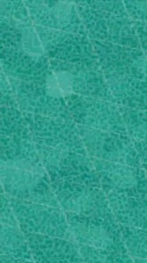 Yaratıcı video düzenleme film tasarımı için benzersiz hareket grafikleri biçimi giriş hareketi video pro