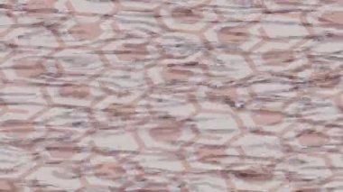 Organik desenli yüzey giriş stili video film sanatı ile soyut arkaplan tasarımı