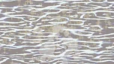 Soyut hareket desenli fütüristik video üretimi için dinamik dijital arkaplan