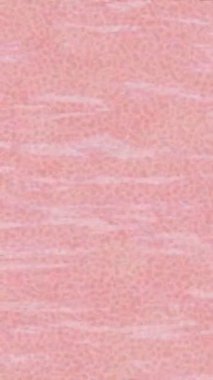 Yaratıcı video düzenleme film tasarımı için benzersiz hareket grafikleri biçimi giriş hareketi video pro