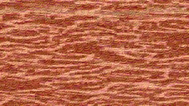 Profesyonel video projeleri sanat tarzı için organik hareketli arkaplan tasarımı