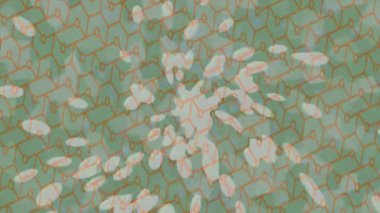 Estetik doku arkaplan tasarımı renkli hareket grafikleri ile moda film giriş profosyoneli