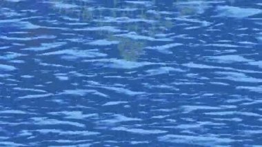 Organik desenli yüzey giriş stili video film sanatı ile soyut arkaplan tasarımı