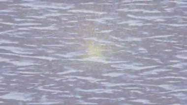 Lüks hareket tasarımı üst düzey video projeleri ve dijital sanat için zarif, pürüzsüz bir dokusu var.