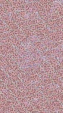 Modern medya üretimi için fütüristik dijital soyut doku sinematik tarz hareketli grafik ögesi