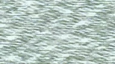 Yaratıcı video düzenleme film arkaplan tasarımı için minimalist organik hareket grafikleri