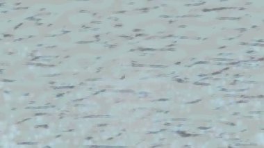 Yaratıcı video düzenleme film tasarımı için benzersiz hareket grafikleri biçimi giriş hareketi video pro