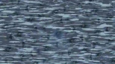 Benzersiz hareket grafikleri tasarım sanatına sahip yaratıcı film üretimi için özet bir arkaplan