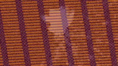 Dijital doku yüzey tasarım biçimi ile modern video animasyonu için gelişmiş hareket grafikleri