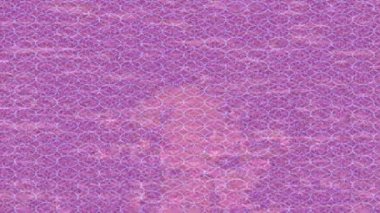 Benzersiz video giriş tasarımı projeleri için detaylı yüzey kalıbı film animasyon stili grafik girişi