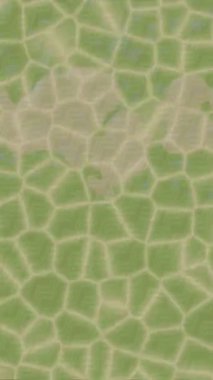 Benzersiz video giriş tasarımı projeleri için detaylı yüzey kalıbı film animasyon stili grafik girişi