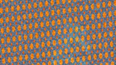 Benzersiz hareket dokusu tasarım sanatı ile profesyonel video düzenleme için modern soyut grafikler