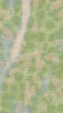 Organik desenli yüzey giriş stili video film sanatı ile soyut arkaplan tasarımı