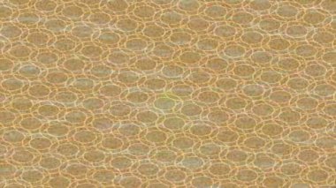 Yaratıcı video düzenleme film arkaplan tasarımı için minimalist organik hareket grafikleri