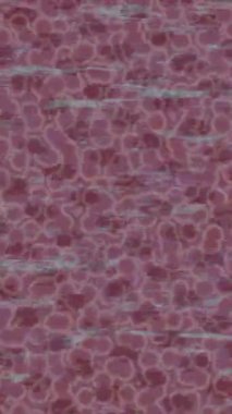 Benzersiz hareket grafikleri tasarım sanatına sahip yaratıcı film üretimi için özet bir arkaplan