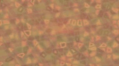 Yaratıcı video düzenleme film arkaplan tasarımı için minimalist organik hareket grafikleri