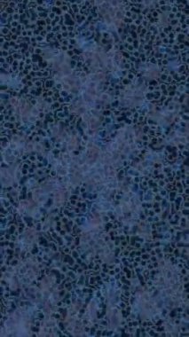 Benzersiz hareket grafikleri tasarım sanatına sahip yaratıcı film üretimi için özet bir arkaplan