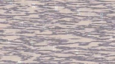 Benzersiz dijital hareket grafiklerine sahip yaratıcı sinematik projeler için yumuşak animasyon yüzeyi