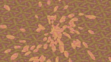 Yaratıcı video düzenleme film tasarımı için benzersiz hareket grafikleri biçimi giriş hareketi video pro