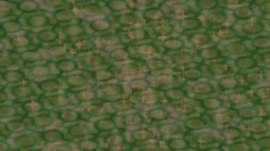 Estetik doku arkaplan tasarımı renkli hareket grafikleri ile moda film giriş profosyoneli