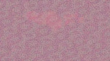 Benzersiz dijital hareket grafiklerine sahip yaratıcı sinematik projeler için yumuşak animasyon yüzeyi