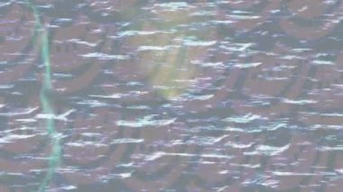 Organik desenli yüzey giriş stili video film sanatı ile soyut arkaplan tasarımı