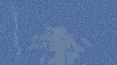 Lüks hareket tasarımı üst düzey video projeleri ve dijital sanat için zarif, pürüzsüz bir dokusu var.